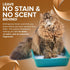 Zero Odor Pet Stain Remover & Odor Eliminator, 16oz - Best for Carpet, Furniture, Floors, Pet Bed - Over 400 Sprays