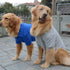 lovelonglong Basic Dog Polo Shirts, Premium Cotton T-Shirts for Large Medium Small Dogs, Blue S