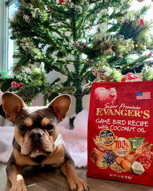 Evanger's Super Premium Gamebird Recipe with Coconut Oil Dry Food for Dogs