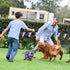4th July Theme Soccer Ball Dog Toy, Interactive Play Balls for Tug of War, USA Independence Day for Small Medium Big