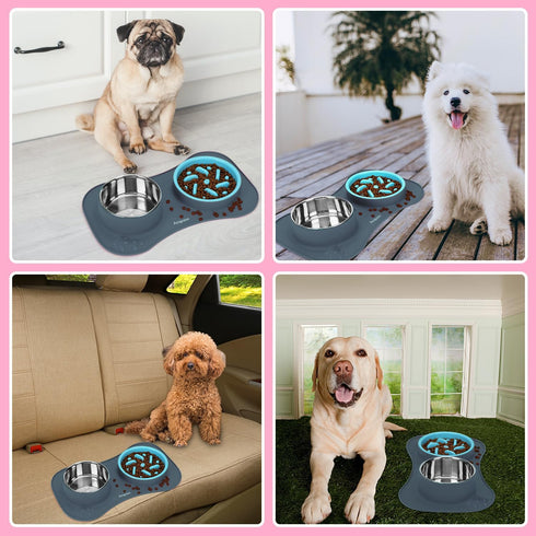Slow Feeder Dog Bowls 3 in 1 - Stainless Steel Food and Water Bowls with Non-Spill Silicone Mat for Dogs and Cats