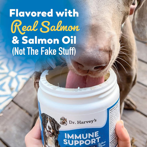 Dr. Harvey's Dog Allergy & Anti-Itch Relief Soft Chews, 90 Chews - Daily Immune & Digestive Health Support with