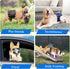 Dogs-Pack 3, Reusable Dog Diapers Male, Washable Premium Belly Bands for Male of High Absorbing Large Male Dog