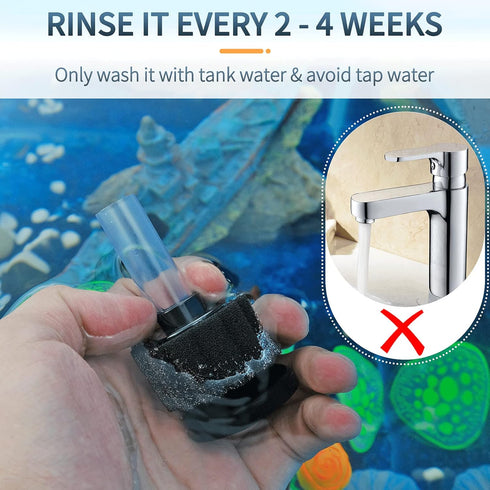 3 Pawfly Aquarium Sponge Filter, Mini Sponge Filter Kit with Airline Tubing and Control Valve for Small Fish Tank up
