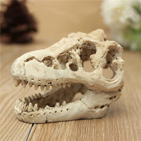 Desert Reptile Decor Skull Fish Tank Decorations, Bearded Dragon Accessories, Desert Reptile Decor, Bearded Dragon