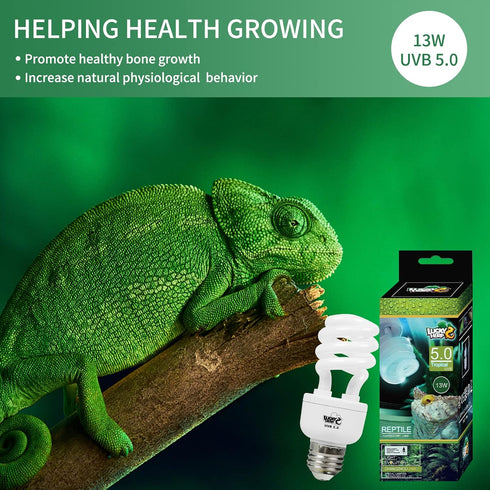 LUCKY HERP 5.0 13W Compact Fluorescent UVA UVB Light Tropical Terrarium Lamp