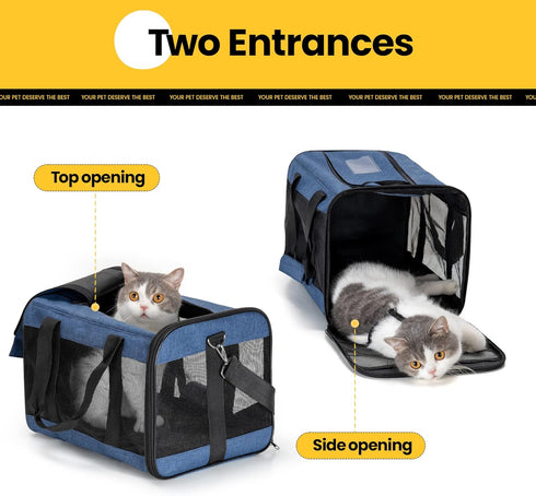Cat Carrier Airline Approved, Soft-Sided Dog Carrier with Safety Leash, Collapsible Pet Transport Carrier for Cats,