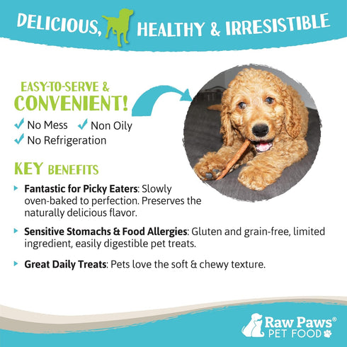 Raw Paws Grain-Free Soft Stick Treats for Dogs & Cats - Chicken Recipe, 6-oz, USA Soft Chicken Dog Treats