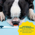 1 3 oz, RADIUS USDA Organic Canine Pet Toothpaste Unit, Non Toxic Toothpaste for Dogs, Designed to Clean Teeth and Help