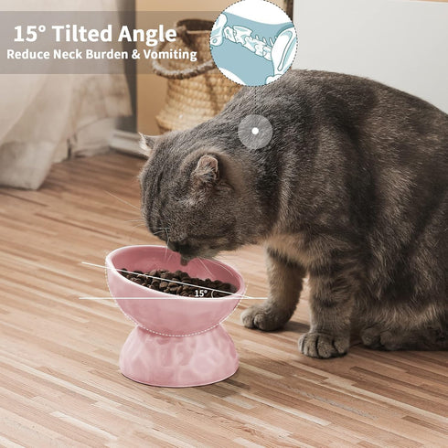 OMAYKEY Ceramic Raised Cat Bowls, Tilted Elevated Food and Water Bowls for Cats and Small Dogs, White & Pink, Set of 2