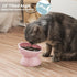 OMAYKEY Ceramic Raised Cat Bowls, Tilted Elevated Food and Water Bowls for Cats and Small Dogs, White & Pink, Set of 2