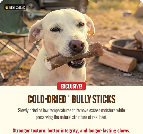 6 Inch (10 Count) 100% Natural Farm Cold-Dried Bully Sticks Odor Free Longer Lasting High Protein Dog Chews Beef