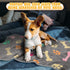 Chumia 18 Pcs Fleece Blanket for Puppy Dog Kitten Cat Pets, Cute Soft Warm Sleep Mat Cover (23 x 16 inch)