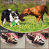 Duck Stuffed Squeaky Dog Chew Toy - Plush Dog Toys for Large Dogs, Interactive Pull Tug of War for Medium Small