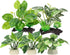 Aquarium Plastic Plants, Silk Plants Set Decor for Betta Fish (Green, 5pcs)