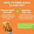 KOHA Limited Ingredient Chicken and White Rice Recipe, Sensitive Stomach Wet Dog Food, Gentle Formula, Pack of 6