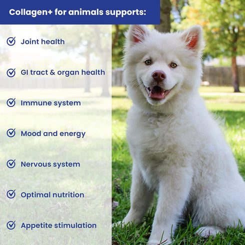 Collagen+ Ultimate Dog or Cat Food Topper with Probiotics, Enzymes, Glucosamine, Supports Joints