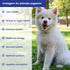 Collagen+ Ultimate Dog or Cat Food Topper with Probiotics, Enzymes, Glucosamine, Supports Joints