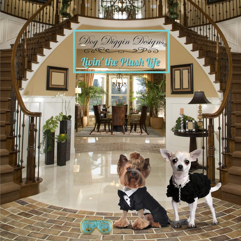 Dog Diggin Designs Runway Pup Collection, Unique Squeaky Plush Dog Toys, Fashion Accessories