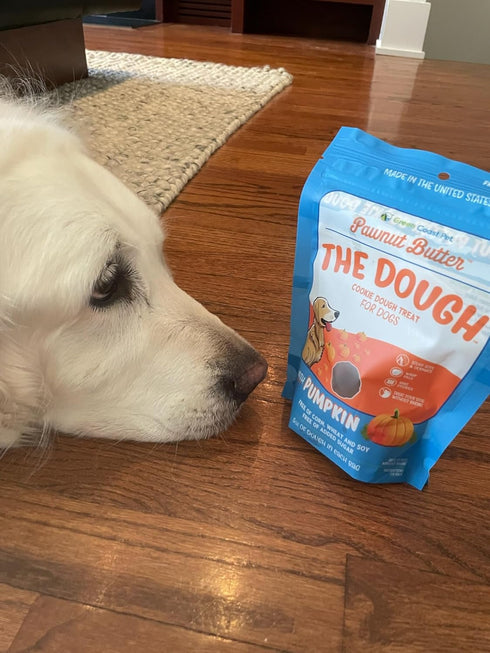 5 oz Pawnut Butter The Dough-Pumpkin Cookie Dough For Dogs Digestive, Soft Treats with Real Peanut Butter, Made