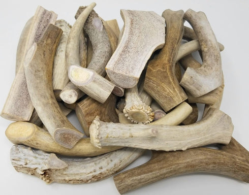 One Pound Pack of Sun-Aged Deer and Elk Antler Dog Bone Chews - Natural Healthy Long-Lasting Treat