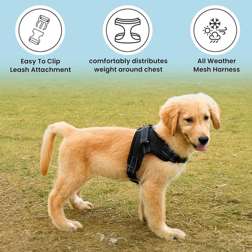 No Pull Reflective Adjustable Dog Harness with Handle - Comfortable Soft Mesh for Small, Medium, Large Dogs