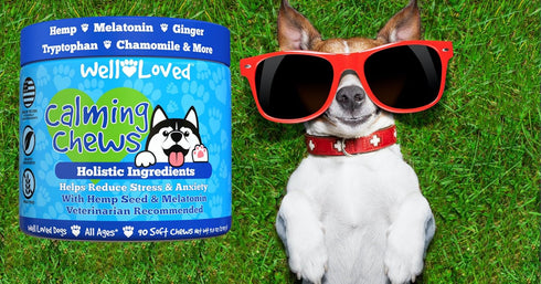 90 Count Well Loved Calming Chews for Dogs - Dog Calm Treats, Made in USA, Vet Developed, Behavior Support, Stress