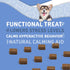 Calm with Melatonin - Calming Chews for Dogs to Manage Stress & Anxiety Relief (60 Chews)