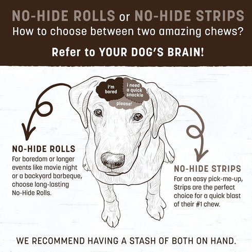3 Count Pack Earth Animal No Hide Chews - Long Lasting Rawhide Free Medium Dog Chews Rolls, Pork - Value