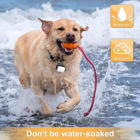 Outopest 3 IP65 Dog Lights for Night Walking, Clip on Dog Collar Light - Modes, USB-C Rechargeable, Waterproof, LED