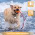 Outopest 3 IP65 Dog Lights for Night Walking, Clip on Dog Collar Light - Modes, USB-C Rechargeable, Waterproof, LED