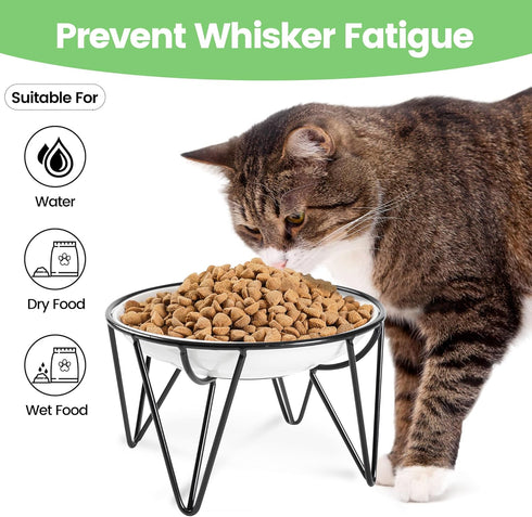 Ceramic Cat Bowls, 2 Pack - 10 oz Raised, Whisker Friendly, Anti-Vomiting Food Plates for Indoor Cats & Kittens