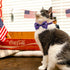4th of July Cat Bow Tie Collar with Bell - Patriotic USA Flag Collars for Male and Female Cats