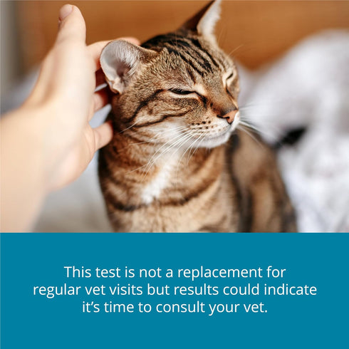 (2-Minute (Pack 1) Petivity At-Home Kidney Health Test Kit for Cats Quick Saliva Urea Test Home Check), Powered by
