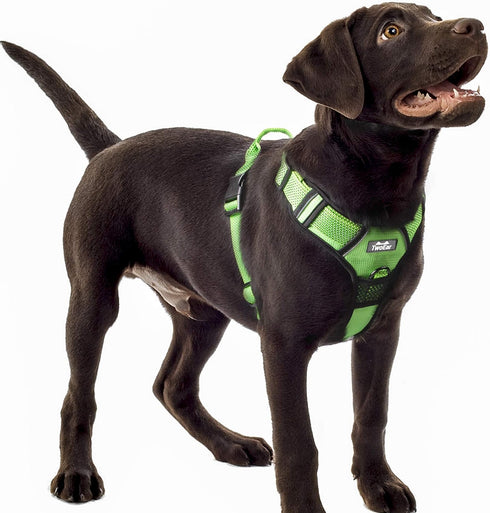 TwoEar Dog Harness, Adjustable Soft Padded Vest, No Pull Reflective Front Clip, Easy Control Handle for Small Medium