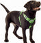 TwoEar Dog Harness, Adjustable Soft Padded Vest, No Pull Reflective Front Clip, Easy Control Handle for Small Medium