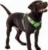 TwoEar Dog Harness, Adjustable Soft Padded Vest, No Pull Reflective Front Clip, Easy Control Handle for Small Medium