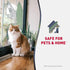 Nature’s Miracle Advanced Stain and Odor Eliminator, 32 Ounces, For Severe Cat Messes