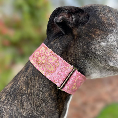 Extra Soft Martingale Dog Collar and Leash Set 2" Wide for Greyhound Saluki Whippet and Similar Breeds (M 11”-14”)