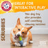 Arm & Hammer for Pets Boomerang Chew Toy, Durable Baking Soda Infused Teething Toy for Adult Dogs, Interactive