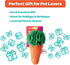 Carrot Puzzle Sniff Toy for Dogs, Cats, and Small Pets