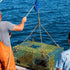 Teyva Daily 1100LB/0.5 Crab Pot Pulley Block Ton Heavy Duty Side Opening Crab Trap Pulley for Lobster Trap, Fishing