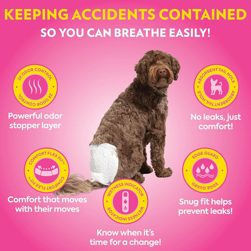 18- 25 96ct) Out! PetCare Disposable Dog Diapers Female, Potty Training, Dog Diapers, Female Doggie in Heat, Puppy