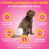 18- 25 96ct) Out! PetCare Disposable Dog Diapers Female, Potty Training, Dog Diapers, Female Doggie in Heat, Puppy