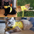 BINGPET Cat Harness with Leash and Collar for Walking, Escape Proof with 59 Inches Leash, Adjustable Soft Vest