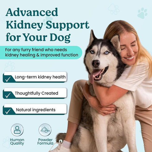 TCM Organic Kidney Support & Renal Health- Rehmannia & Cordyceps Powder- Doctor Formulated Tonic for Bladder Health