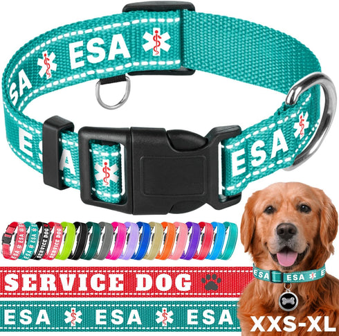 TECEUM Reflective Pet Collar – Basic Nylon Dog Collar – Quick Release Buckle – Teal - ESA – L – Fits Small, Medium and