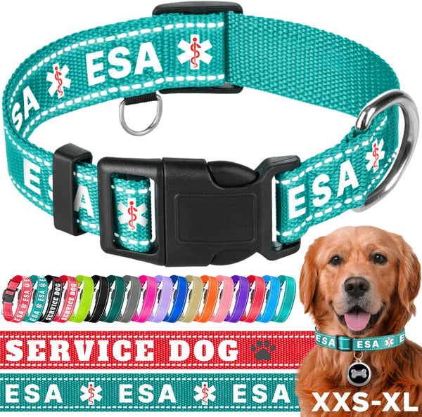 TECEUM Reflective Pet Collar – Basic Nylon Dog Collar – Quick Release Buckle – Teal - ESA – L – Fits Small, Medium and