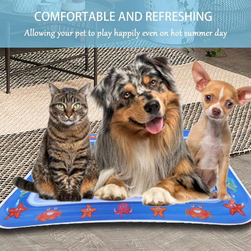 WNWBFM Mat,2024 Water Sensory Play Mat for Cats,Thickened Water Sensor Play New Cat Water Play Mat,Water Sensory