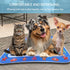 WNWBFM Mat,2024 Water Sensory Play Mat for Cats,Thickened Water Sensor Play New Cat Water Play Mat,Water Sensory